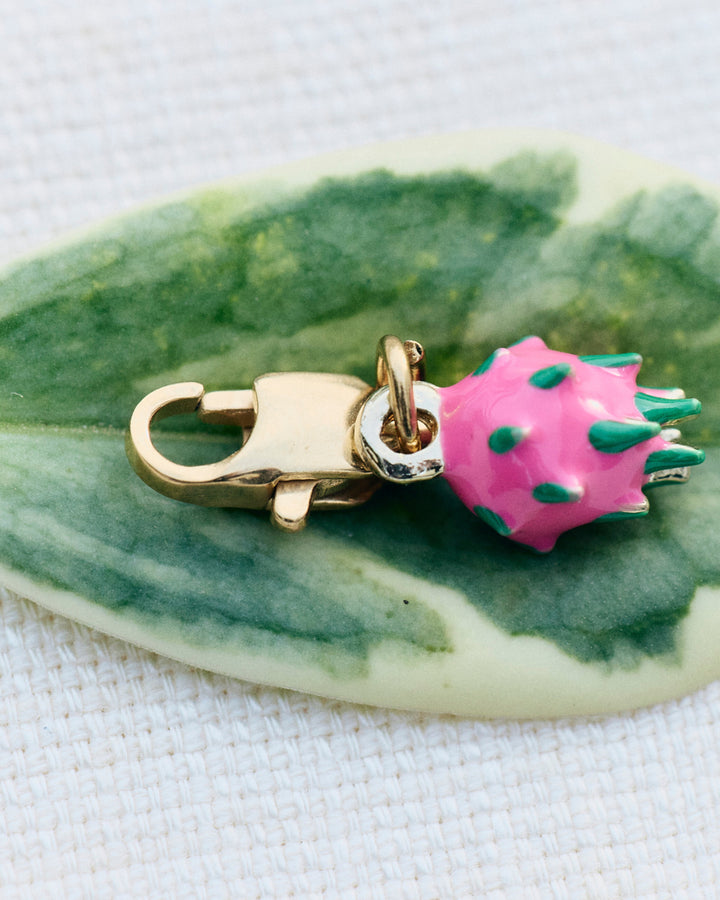 Dragon Fruit - Charm