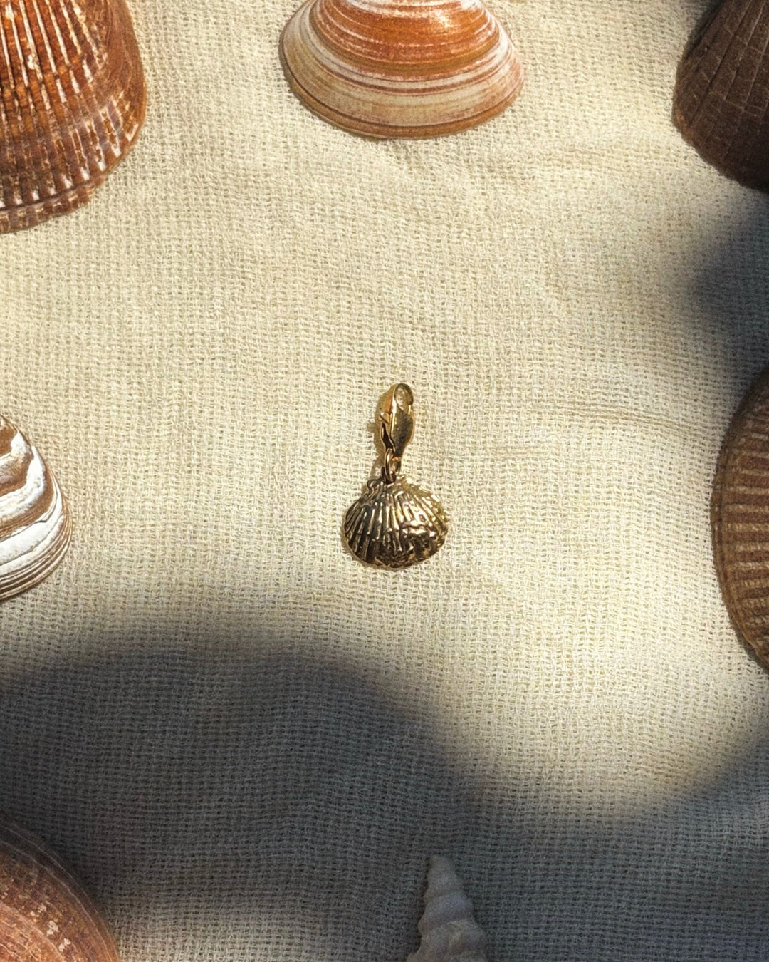 Textured Seashell - Charm